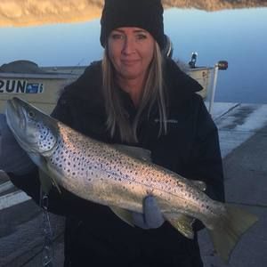 Meet your Posher, Patsy